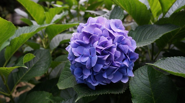 Unlocking Median Home Prices for First-Time Buyers