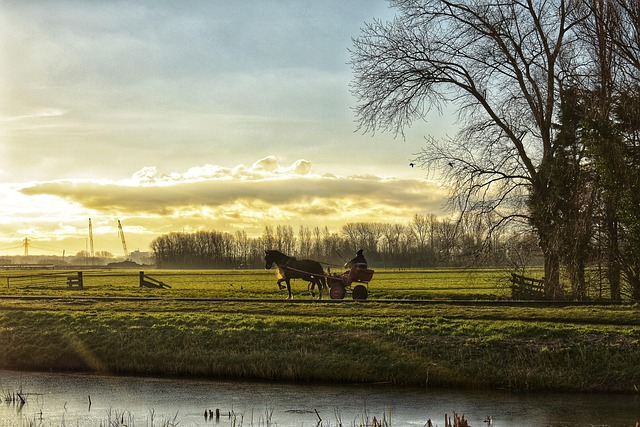 moving to phoenix for winter sunshine