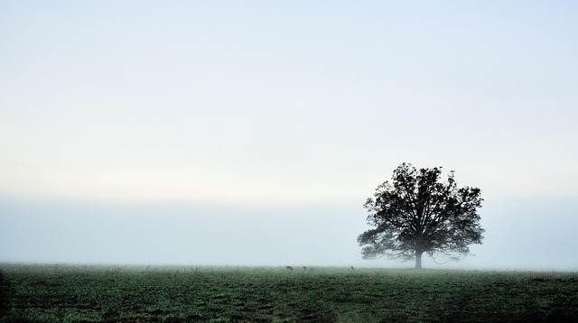 Negative Amortization