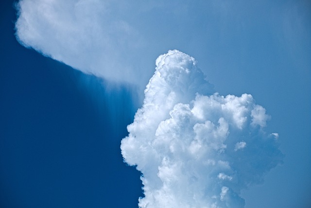 phoenix drought tolerant backyard design 2026