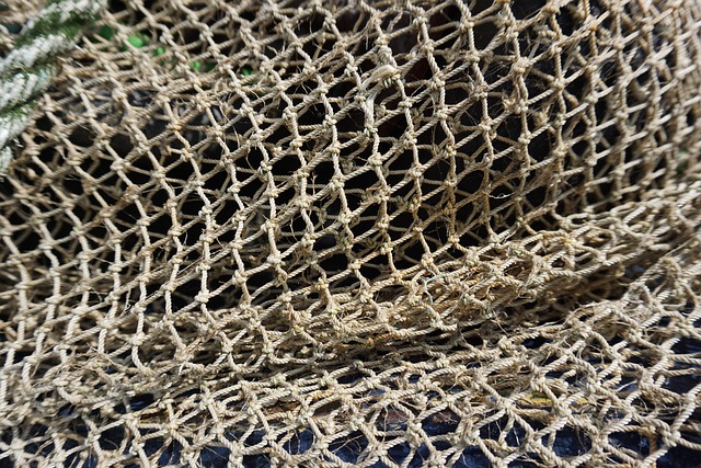 phoenix net zero energy home builders