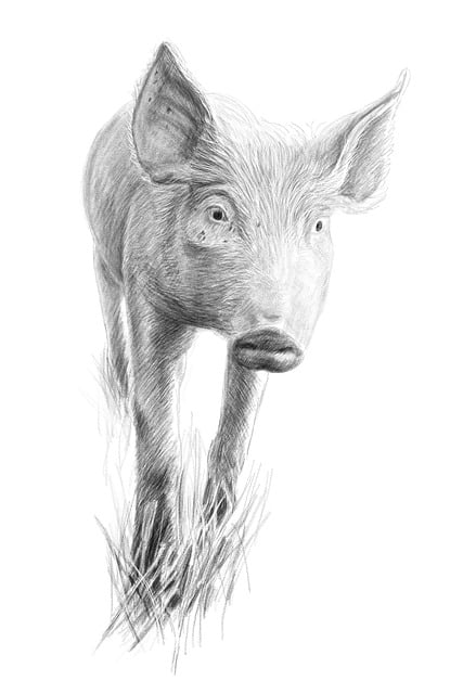 price per square foot