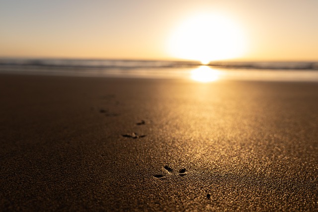 price per square foot