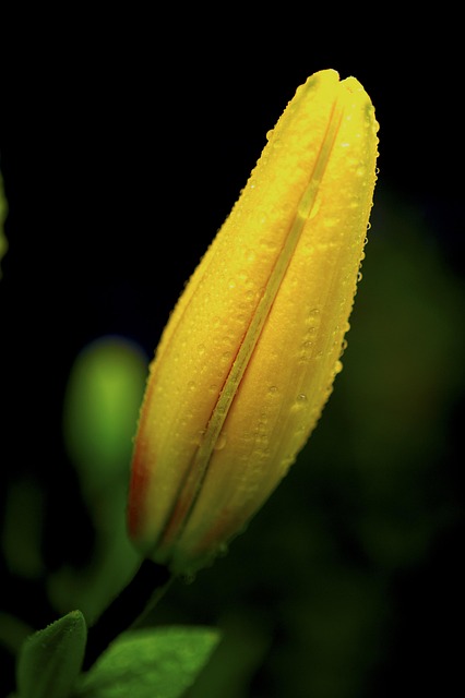 Unlocking Homeownership: Understanding Private Mortgage Insurance