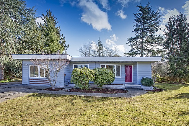 property disclosures