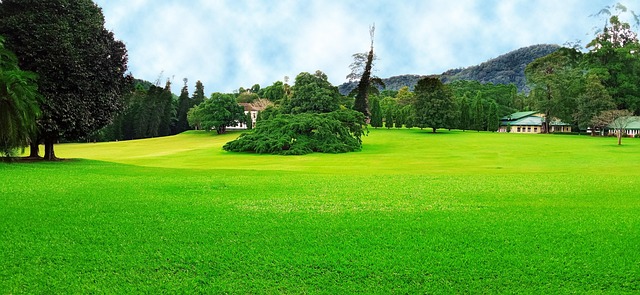 PV phoenix park and community event lawn