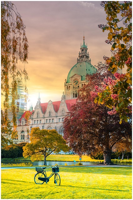 Pet-Friendly Routes & Green Spaces: Creating Urban Havens for All Animals