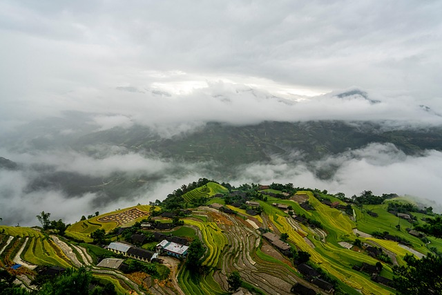 Mall to Mixed-Use: PV Phoenix’s Successful Transformation Compels Others