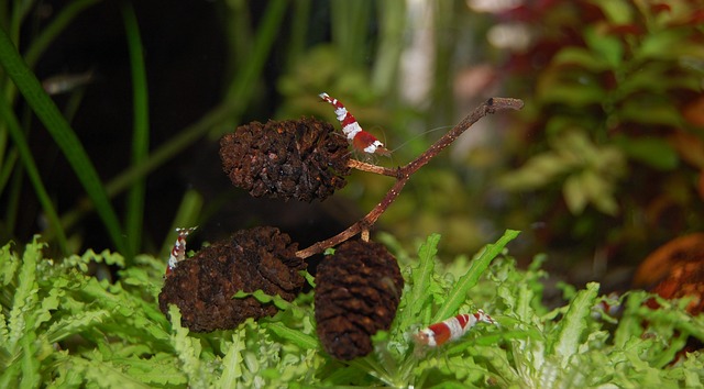 Quality of life index