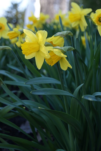 realtor closing costs