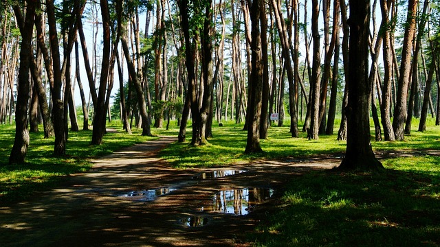 remodeling cost per square foot