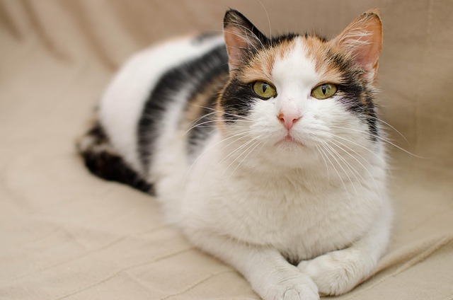 Retirement fund stretching