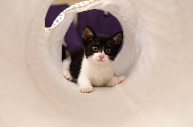 Retirement fund stretching