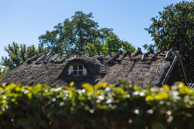 roof replacement cost