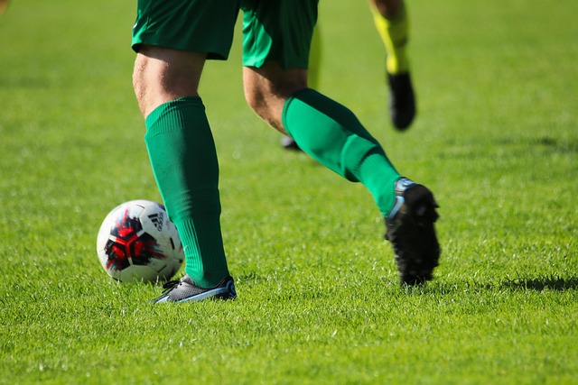 Salary guide comparison