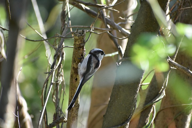 Salary guide comparison