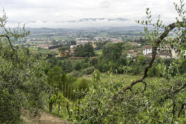 Unlock Tax Savings: Seasonal Relief Through Arbitrage Strategies