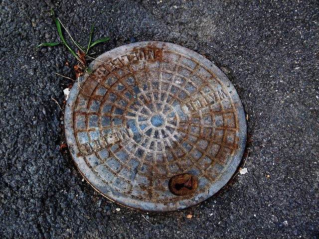 Sewer Map Insights: Financial Impact on Homeowners’ Choices