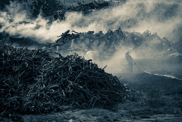 tech worker relocation guide phoenix 2026