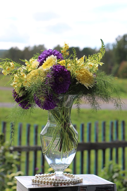 the astra phoenix tallest building completion