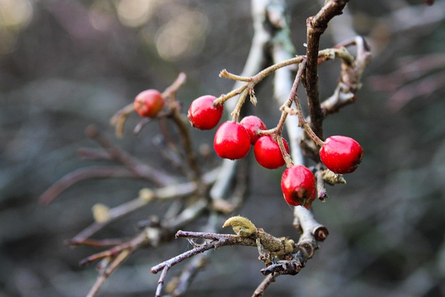 Therapeutic environments