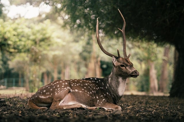 Therapeutic environments