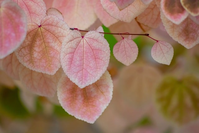 Therapeutic environments