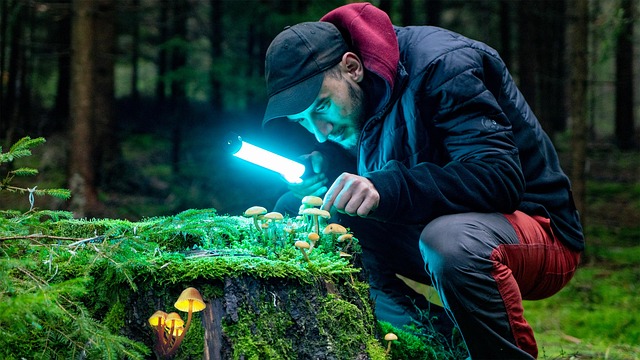 Mastering Title Search: Unlocking Real Estate Success