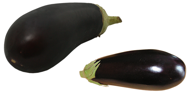 what does a realtor do for a buyer