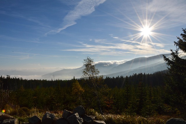 55 plus communities in west valley az