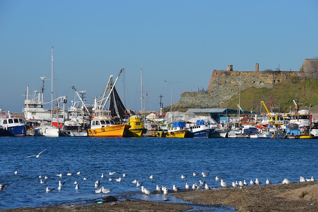 55 plus communities in west valley az