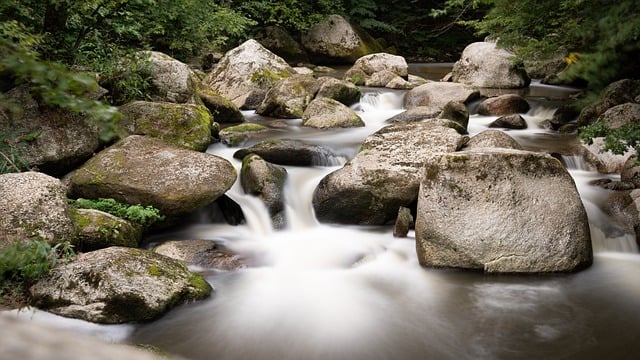 HOPA-Compliant Living: Sunlight, Design, and Well-being