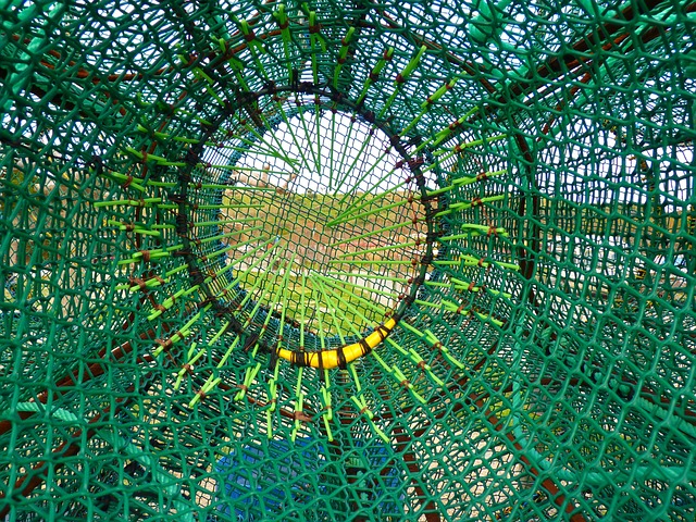 adaptive reuse condos in downtown phoenix