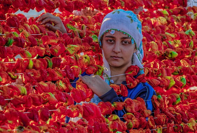 amkor technology peoria employee housing