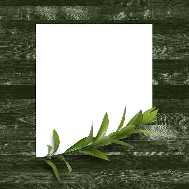 anthem az master plan community reviews