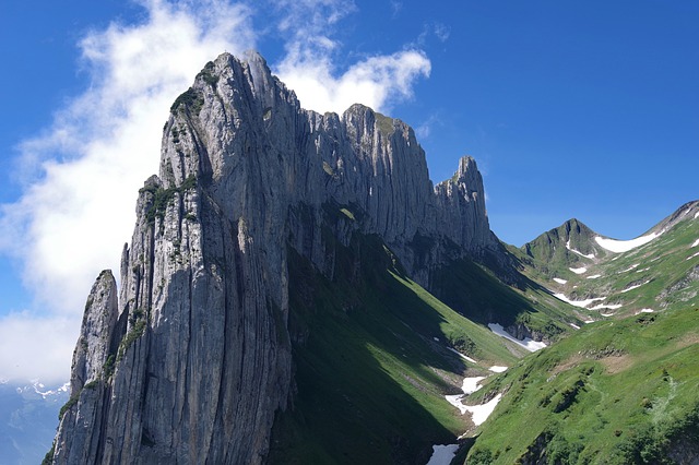 Calculating NOI: Bridge Appraisal Gap with Accurate Net Income