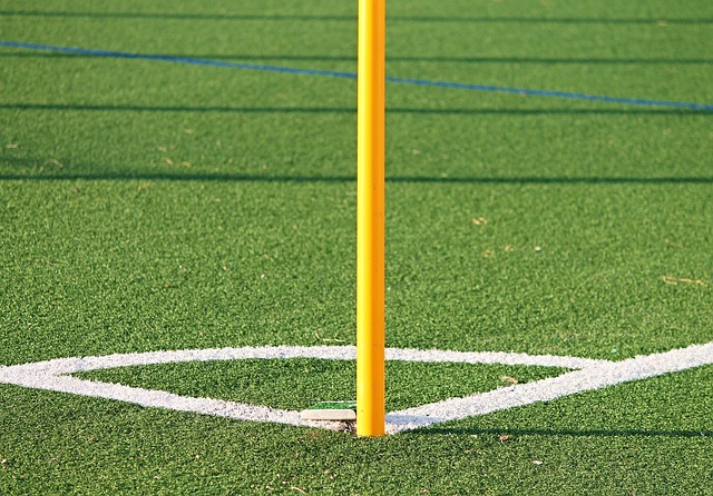 artificial turf rules phoenix neighborhoods