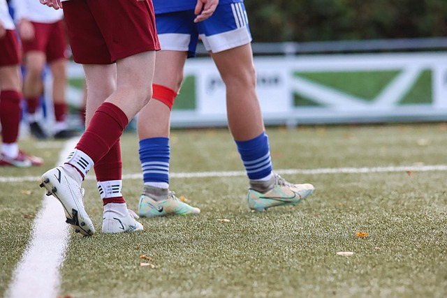 artificial turf rules phoenix neighborhoods