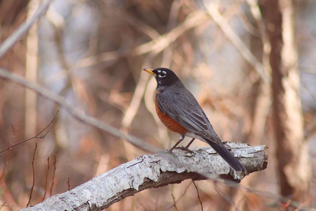 Asset-heavy migration