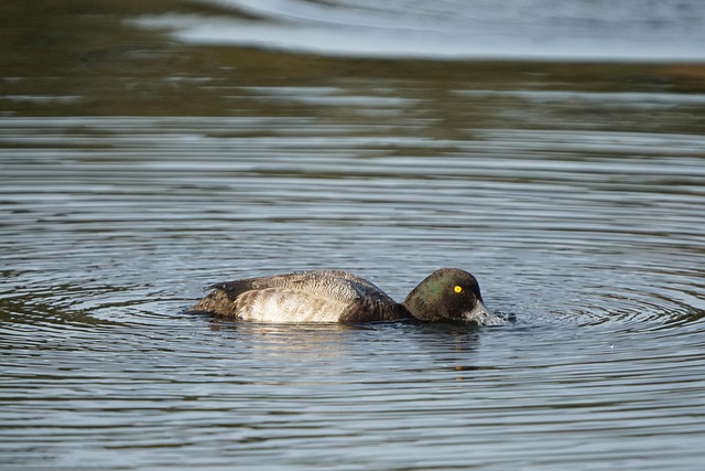 Asset-heavy migration