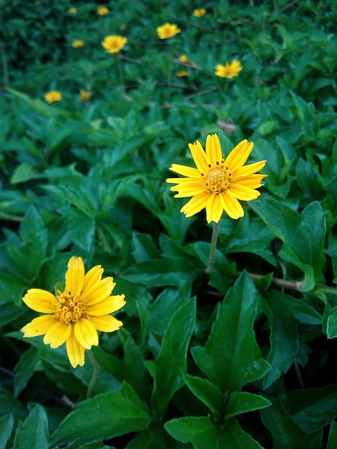 Unveiling Expertise: Best Realtor Near Me for Seamless Transactions