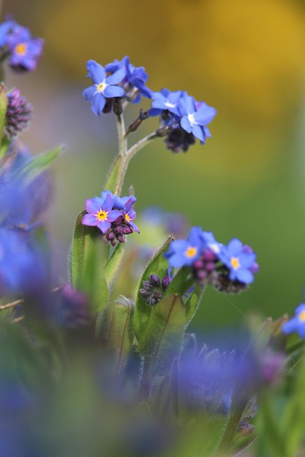 best realtor near me