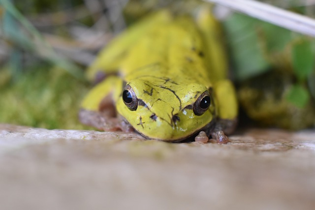 best realtor near me