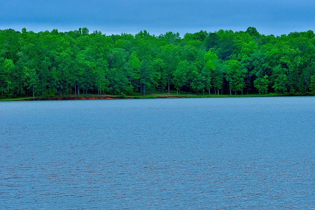 best restaurants in atlanta