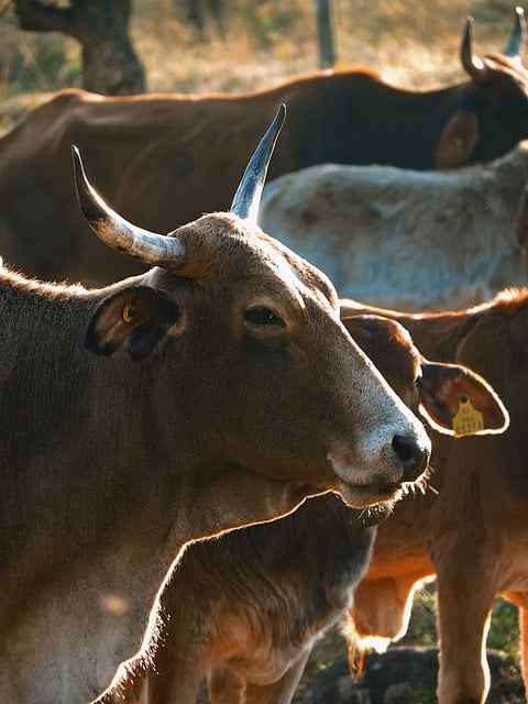 best restaurants in miami