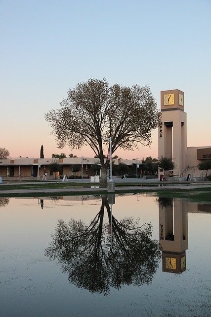 blossom rock vs eastmark mesa
