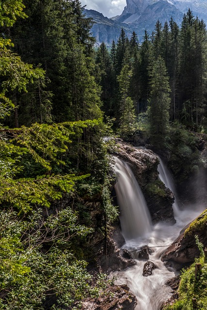 blossom rock vs eastmark mesa