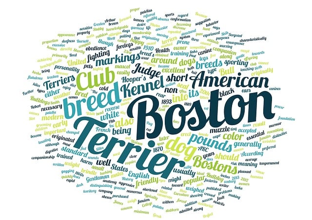 boston events