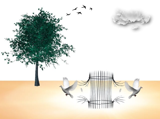 broadband availability