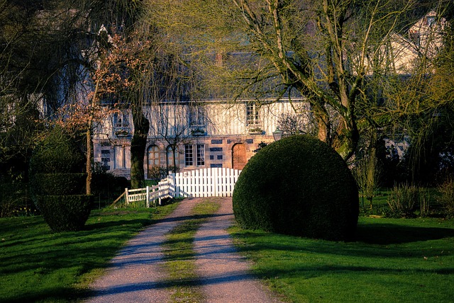 BTR community amenities vs master plan hoa